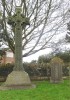 Evans-Freke family plot